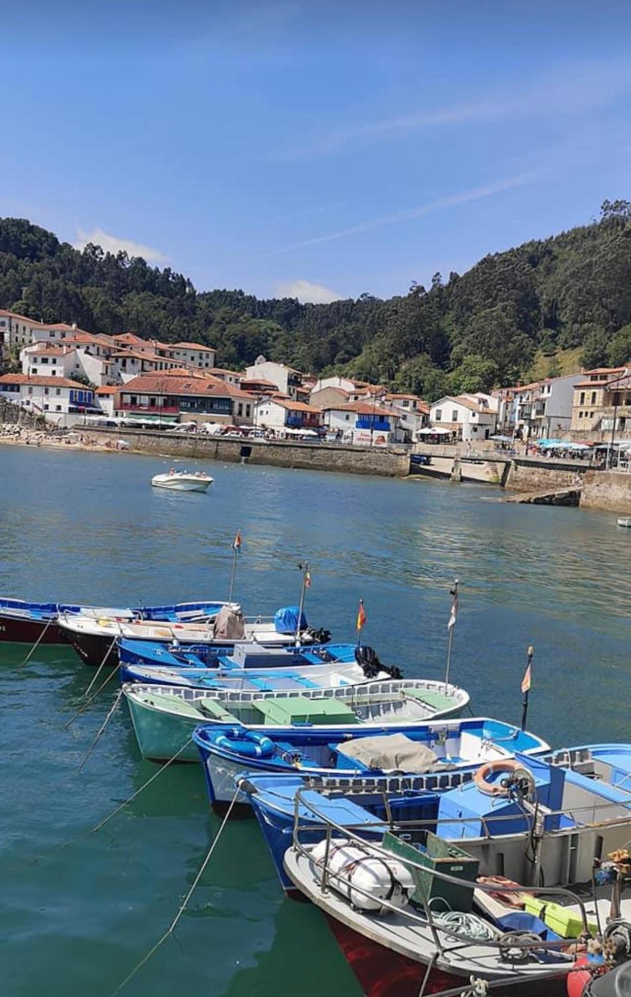 Apartamento Turistico Nanielles Sella Playa - Vut 3050As Ribadesella Dış mekan fotoğraf